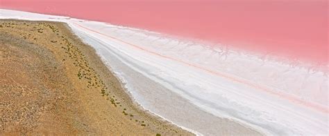 South Australias Pink Lake Bucket List | South Australia