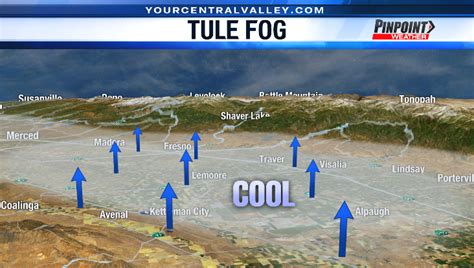 Fog hazards in Central Valley: Tips for safe travel | CBS47 and KSEE24 ...