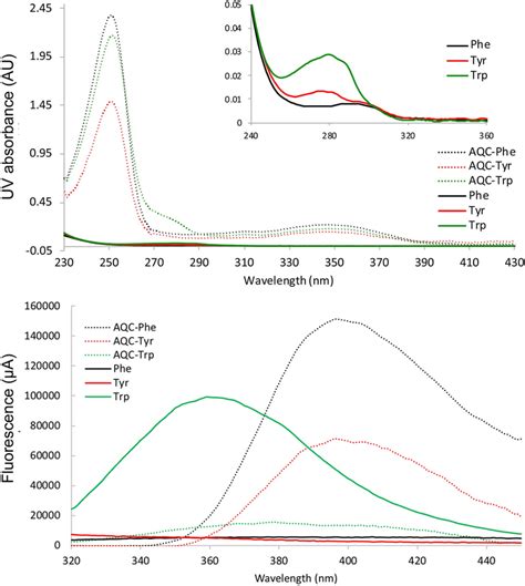 Background corrected UV spectra of three underivatized aromatic amino... | Download Scientific ...