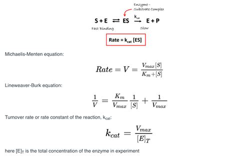 Enzyme Substrate Complex Equation