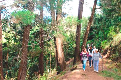 Excusa para conocer el Parque Arví: es uno de los mejores destinos turísticos sostenibles del mundo