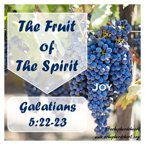 A Shepherd's Heart: The Fruit of The Spirit - Joy