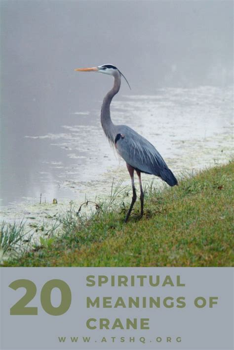 Crane Symbolism: 20 Spiritual Meanings Of Crane