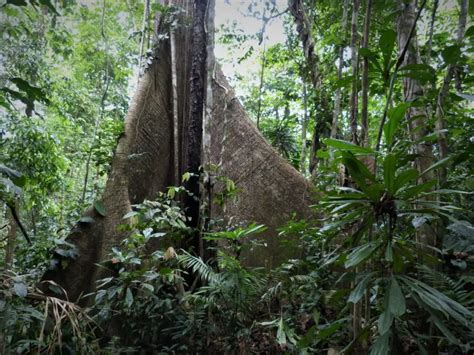 Crossing the Darién Gap between Colombia and Panama - 2021 Update