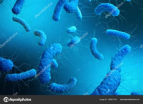 Enterobacterias Gram Negativas Bakteri Salmonella Escherichia Coli Klebsiella Yersinia Pestis ...