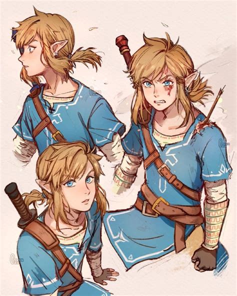 Link, Link & Link : r/zelda