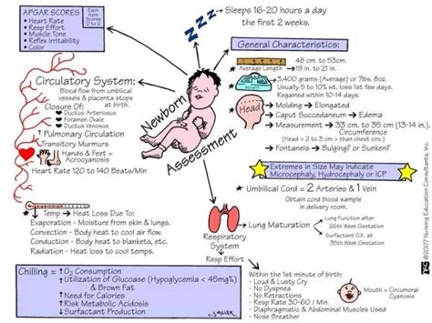 Pin on Nursing School Study Resource