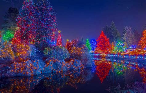 Wallpaper trees, lights, holiday, Canada, Christmas, Vancouver, Botanical garden, the festival ...