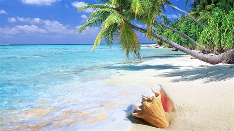 Tropical Beach Wallpapers - Top Free Tropical Beach Backgrounds ...