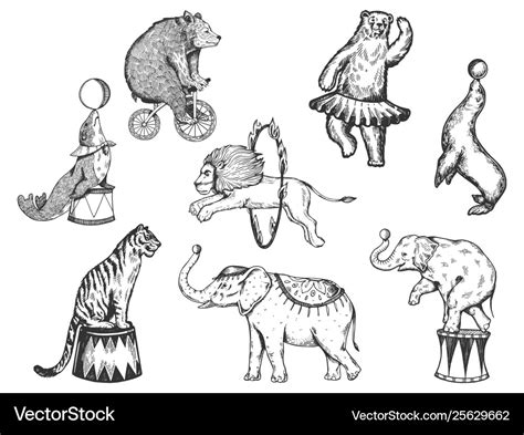 Retro circus animals performance set sketch Vector Image