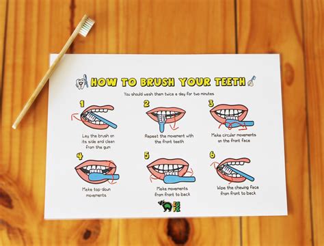 How to Brush Your Teeth, PDF Printable, Dental Guide, Toothbrush, Brush Guide, Dental Hygiene ...