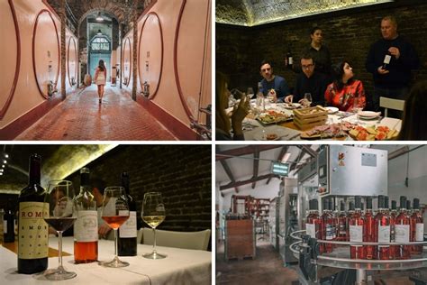 13 Best Wine Tasting Tours in Rome for Exploring Italian Vineyards - TourScanner