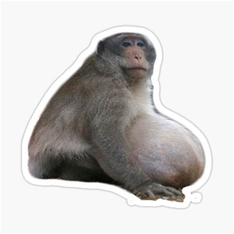 "Uncle Fatty Monkey Meme Big Sticker" Sticker for Sale by ...