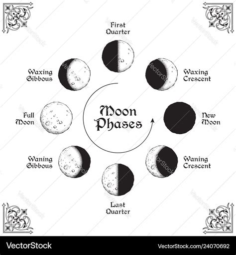 Moon Phases Circle