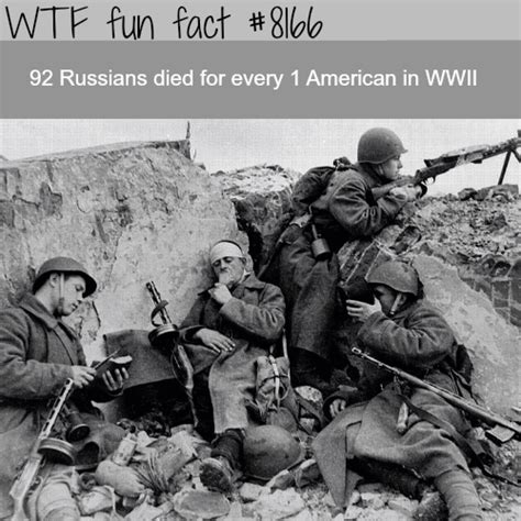 russian casualties in ww2 wtf fun fact