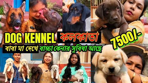 dog kennel kolkata | Dog Kennel | dog market in kolkata | Dog Price ...