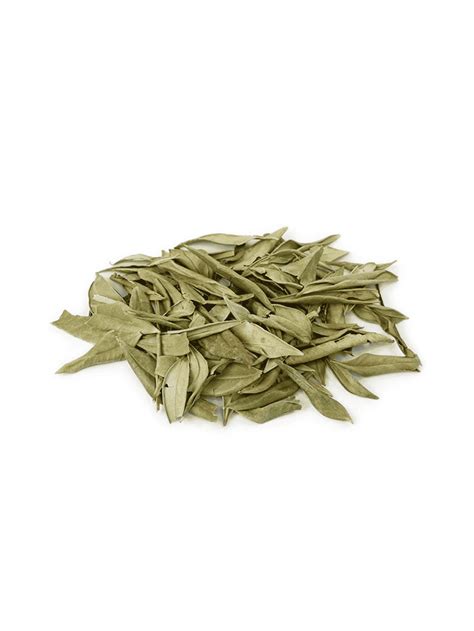 Dried Lemon Myrtle Leaves - Box Bar