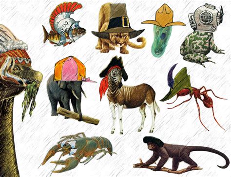 Animals Wearing Hats by MedusaJuice on DeviantArt