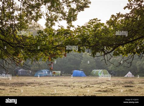 New forest camping Stock Photo - Alamy