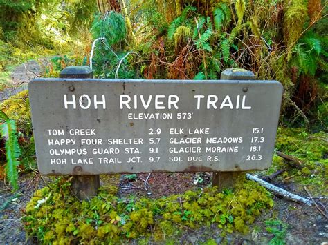 How to Visit the Hoh Rainforest - Ordinary Adventures