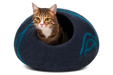 The 12 Best Cat Beds of 2024