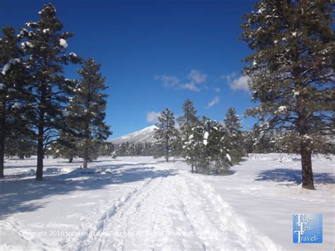 A Winter Wonderland in Flagstaff, Arizona - Top Ten Travel Blog