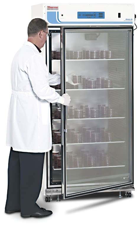 Thermo Scientific Large-Capacity Reach-In CO2 Incubator, 821 L, Polished Stainless Steel ...