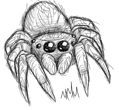 Spider - Drawing Skill