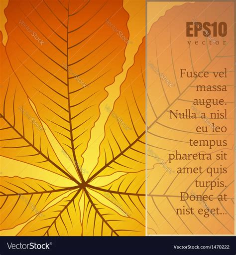 Yellow leaf Royalty Free Vector Image - VectorStock