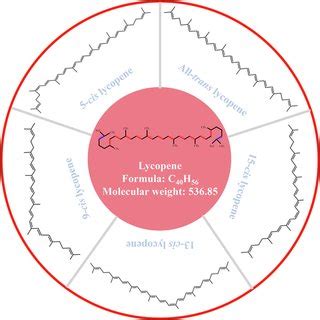 General structure and main isomer configurations of lycopene. Red and ...