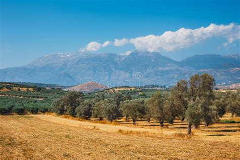 Beautiful Mountain Landscape, Crete, Greece Stock Photo - Image of outdoors, beautiful: 97577800