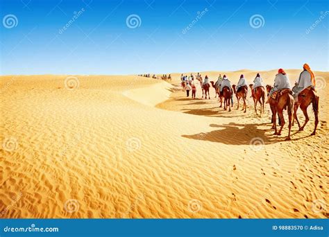 Sahara desert stock photo. Image of nature, camelcade - 98883570