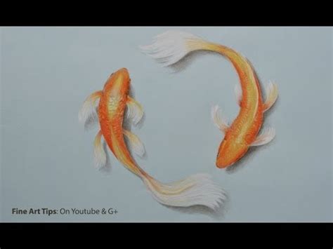 Realistic Koi Drawing at GetDrawings | Free download