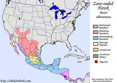 Zone-tailed Hawk - Species Range Map