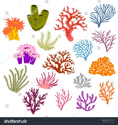 vector set of multi-colored corals | Coral art, Coral reef art, Sea life art