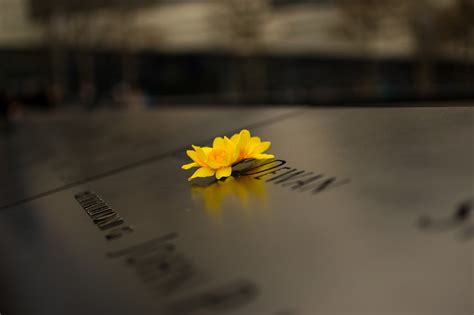 Photo I took at the WTC Memorial in NYC. : r/pics