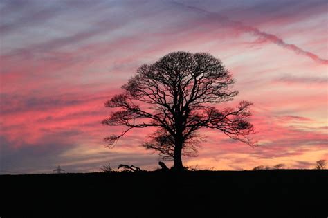 The Fairy Midwife and the Magic Ointment - #FolkloreThursday