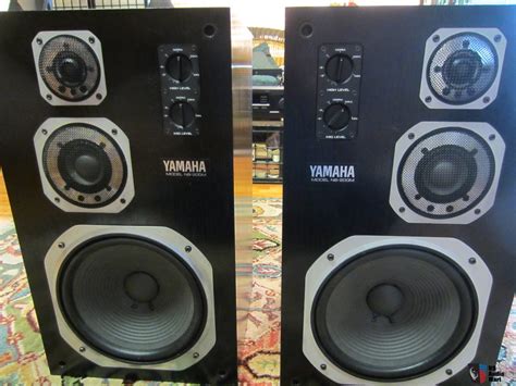 terminology - What is the technical term for these speakers? - Sound Design Stack Exchange
