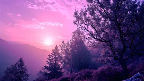 Aesthetic Purple Landscape Desktop Wallpaper - Download in 4K