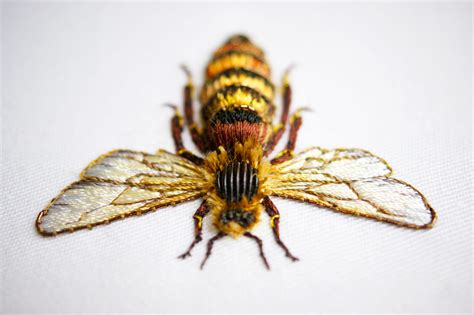 Elaborate Embroidery by Laura Baverstock Forms Insects and Animals from ...