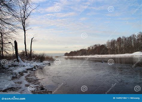 Lakeside winter landscape stock image. Image of plant - 144921867