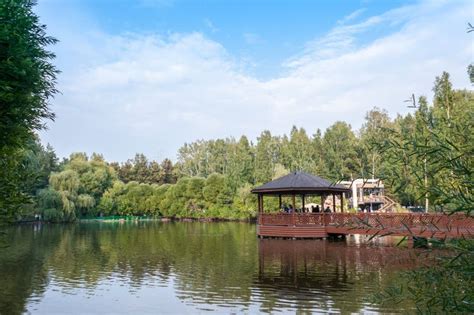 Summer Landscape: Gazebo on Swan Lake in the Novosibirsk Zoo Stock ...