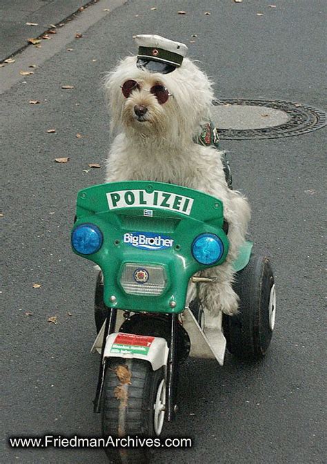 funny police dog pics