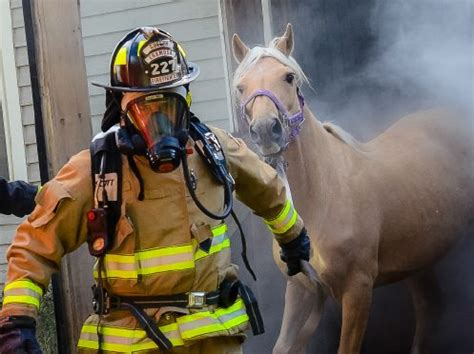 Barn Fire Prevention Tool – The Horse Portal