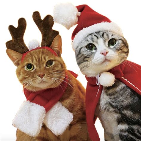 Cat Christmas Costumes