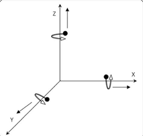 Z-axis (vertical), X-axis (medial-lateral) and Y-axis... | Download Scientific Diagram