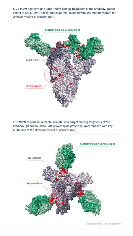 AbCellera-Discovered Antibody, Bebtelovimab, Receives U.S. FDA ...