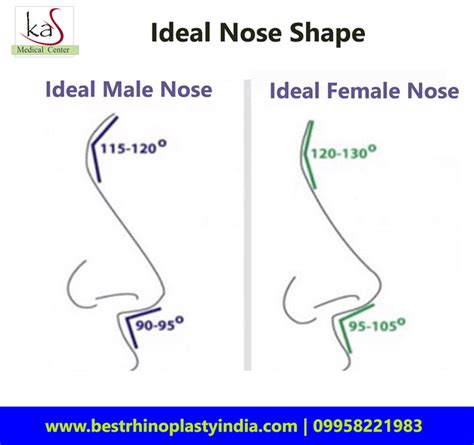 Ideal Nose Shape for Male or Female | Nose reshaping, Rhinoplasty, Nose shapes