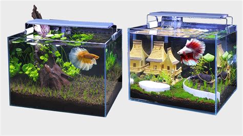 Homemade Betta Fish Tank Decorations | Shelly Lighting