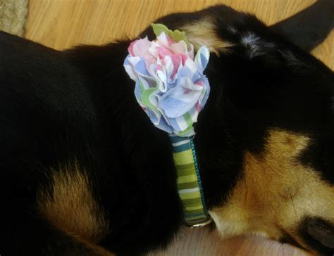 Don't Disturb This Groove: Flower Dog Collars